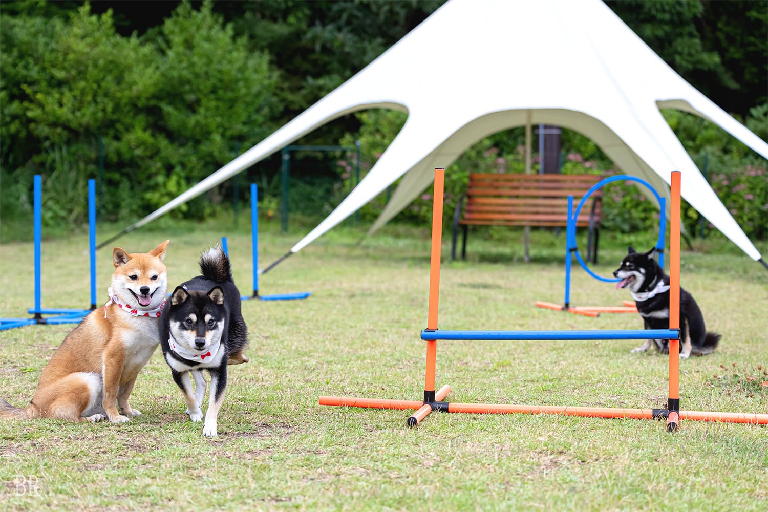 夏の過ごし方
