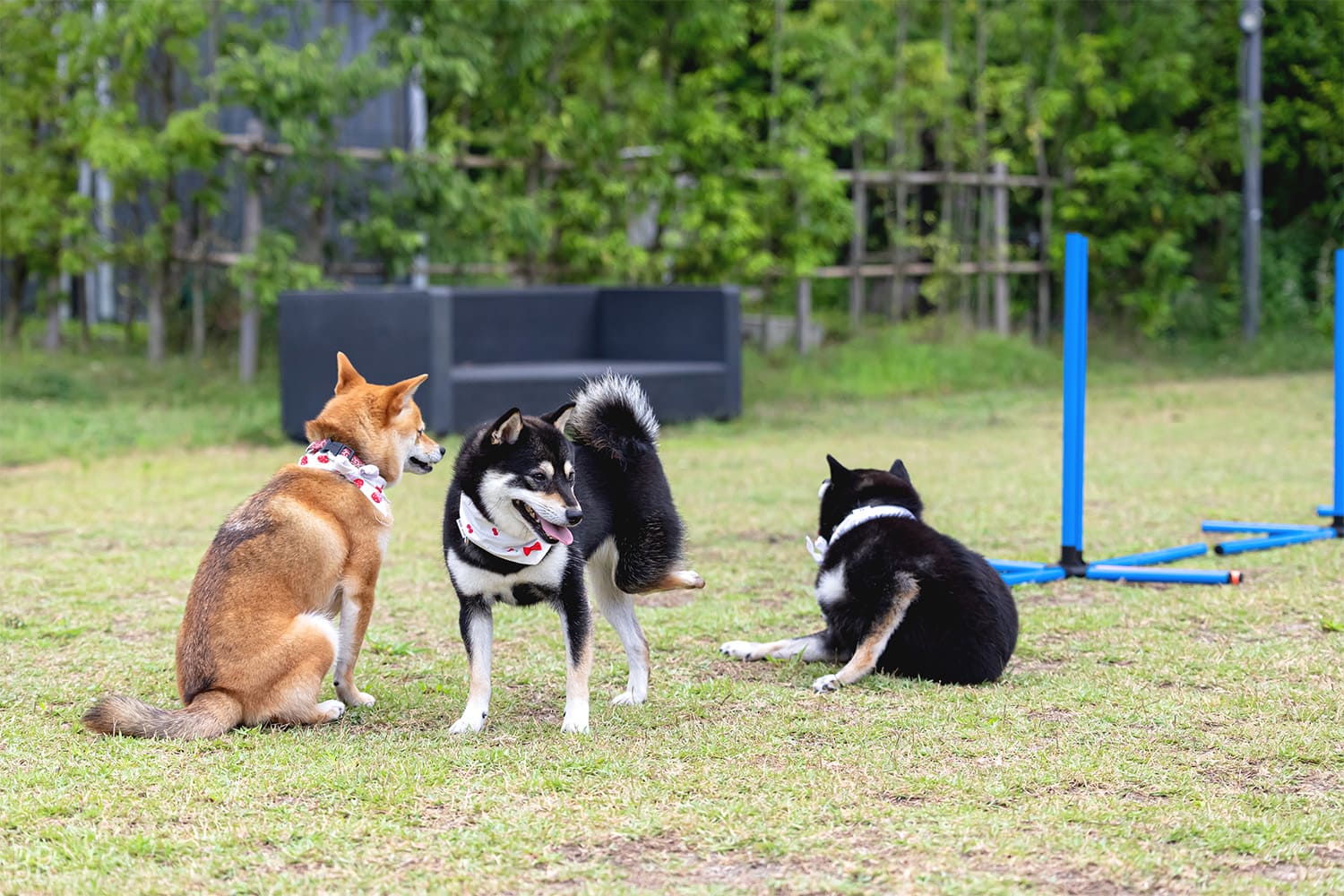 オフ会ご利用イメージ
