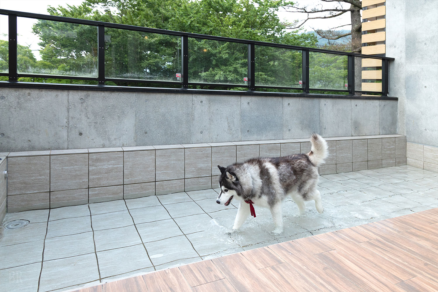お部屋 プール付きのお部屋で水遊び