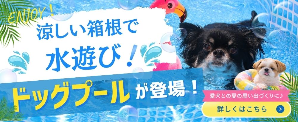 ドッグプール