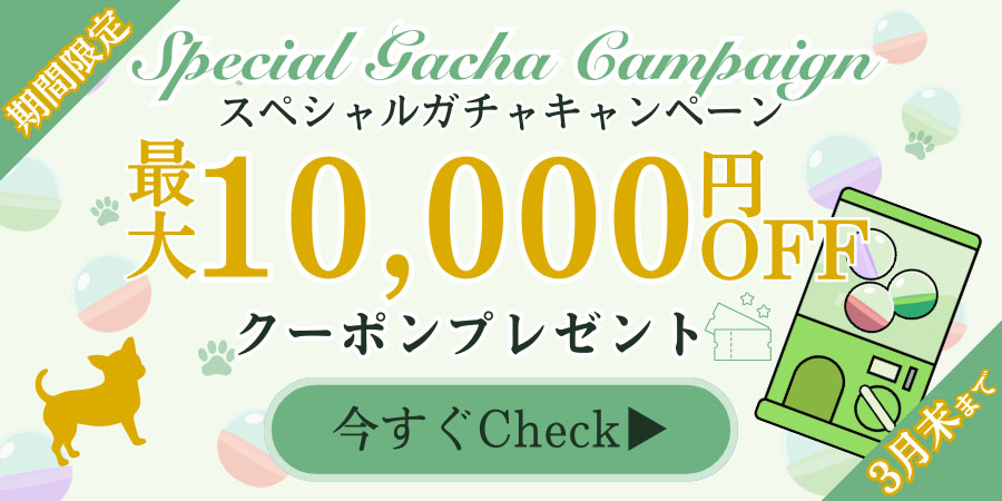 ガチャキャンペーン