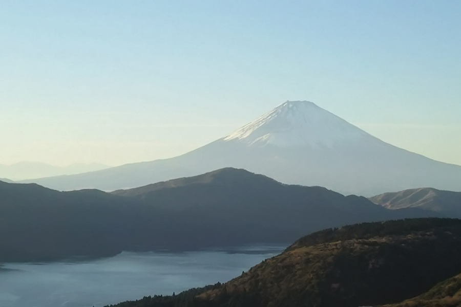 愛犬との箱根観光