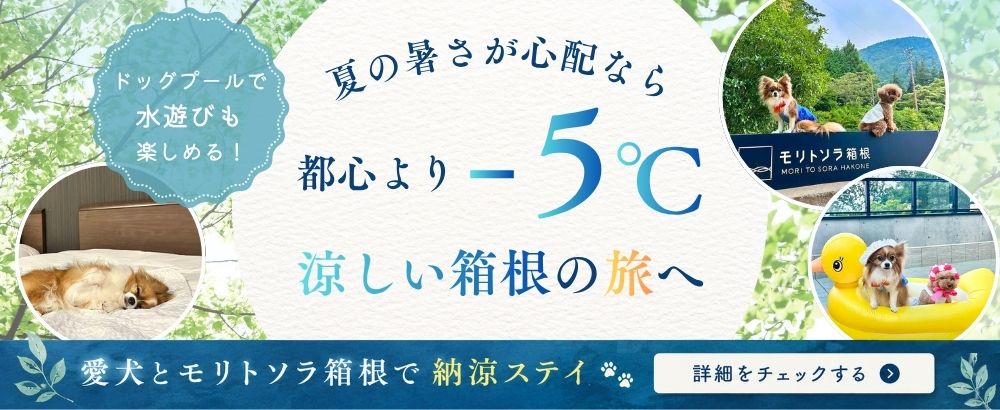 納涼ステイ