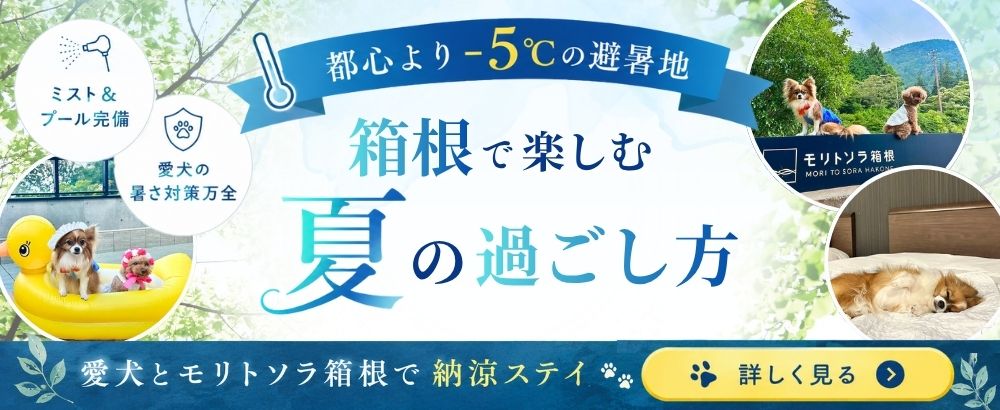 納涼ステイ