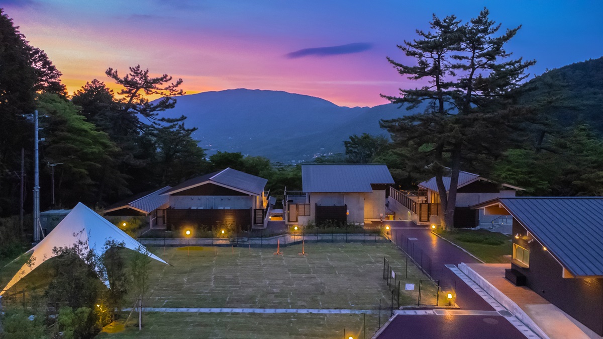 ドッグランの様子